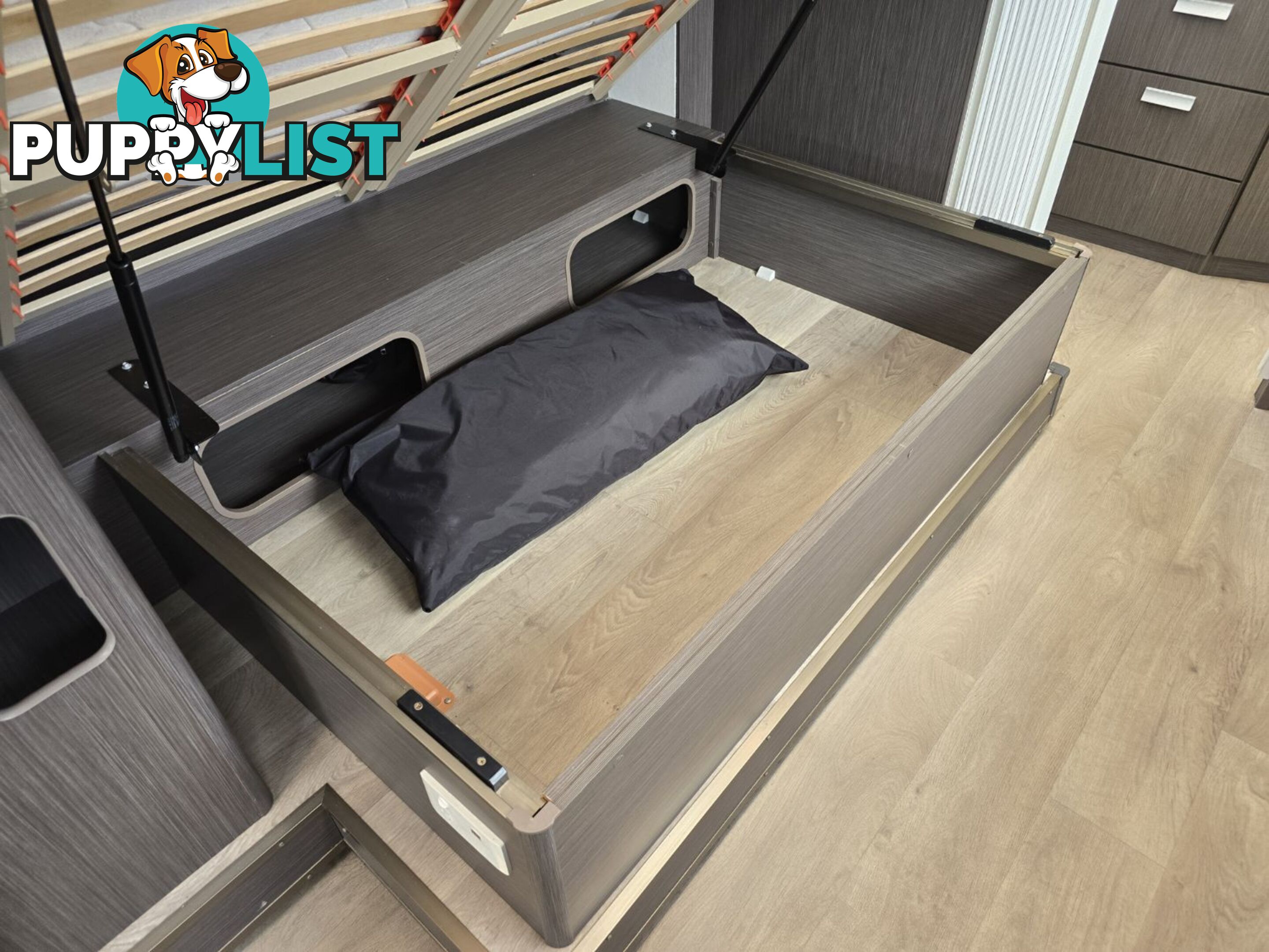2019  JAYCO CONQUEST MOTORHOME DX IV.25-5 