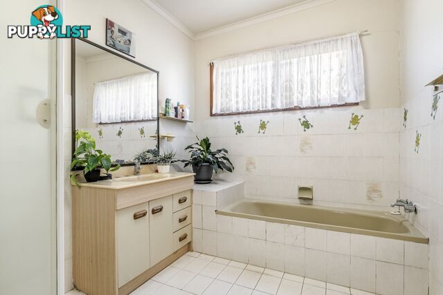 14-18 Cecil Street Nimbin NSW 2480