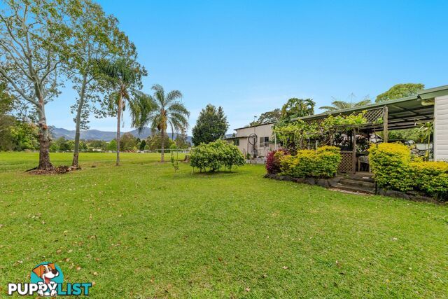 14-18 Cecil Street Nimbin NSW 2480