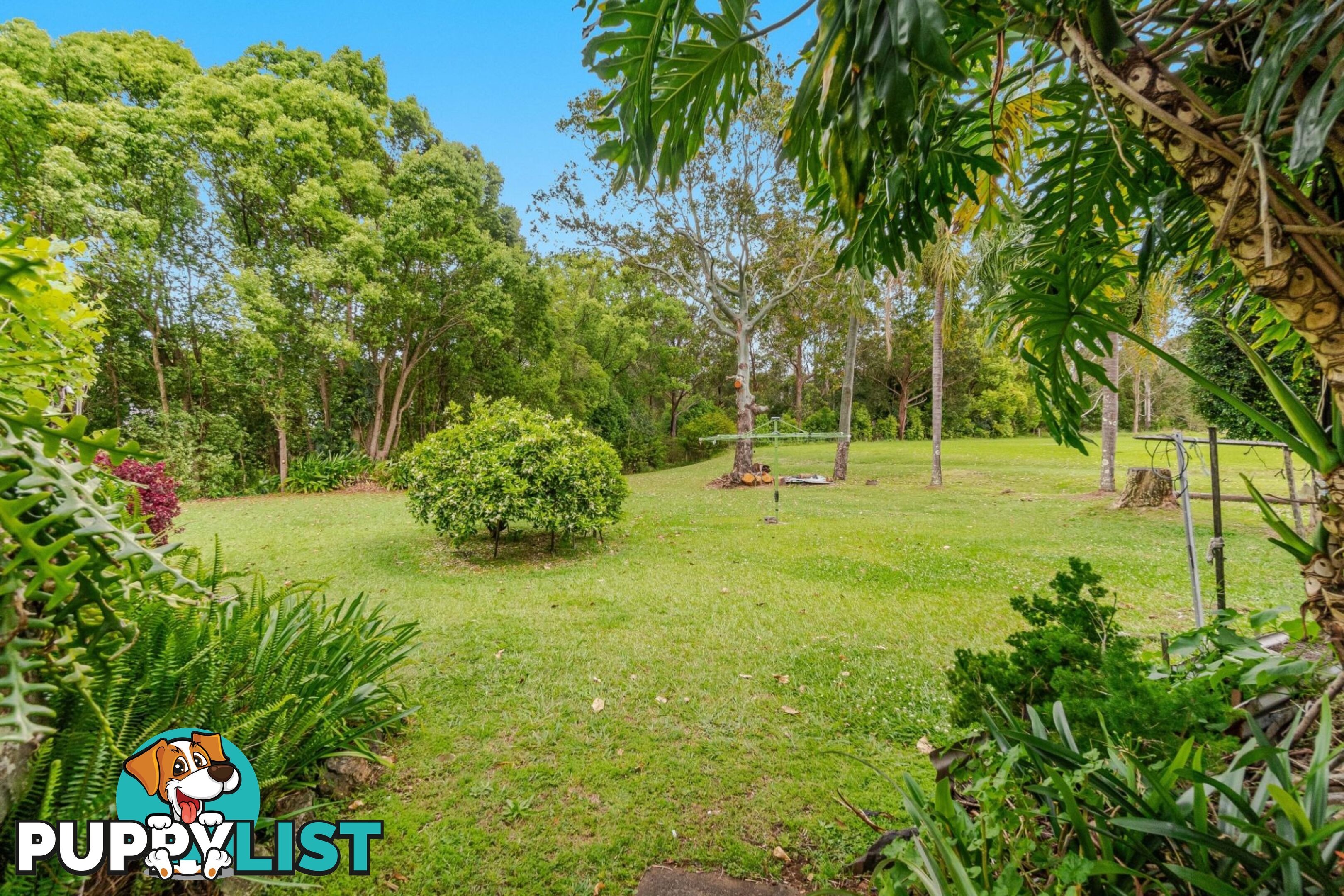 14-18 Cecil Street Nimbin NSW 2480