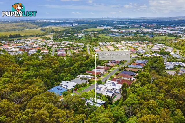 20 Oceanblue Rise Upper Coomera QLD 4209