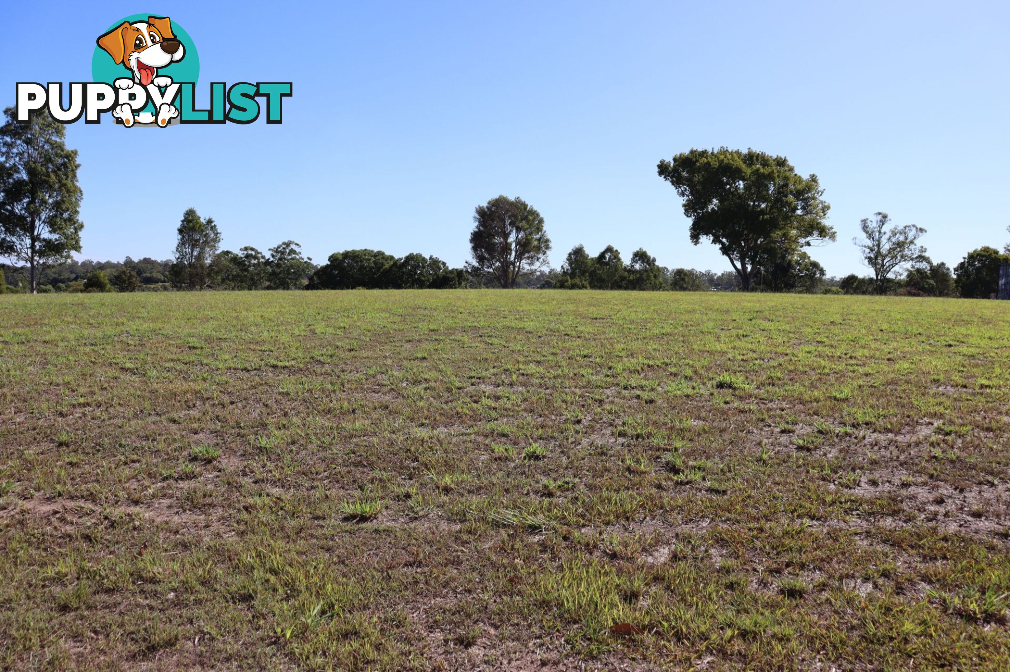 Lot 5 "Acres on Taylor" Veteran QLD 4570