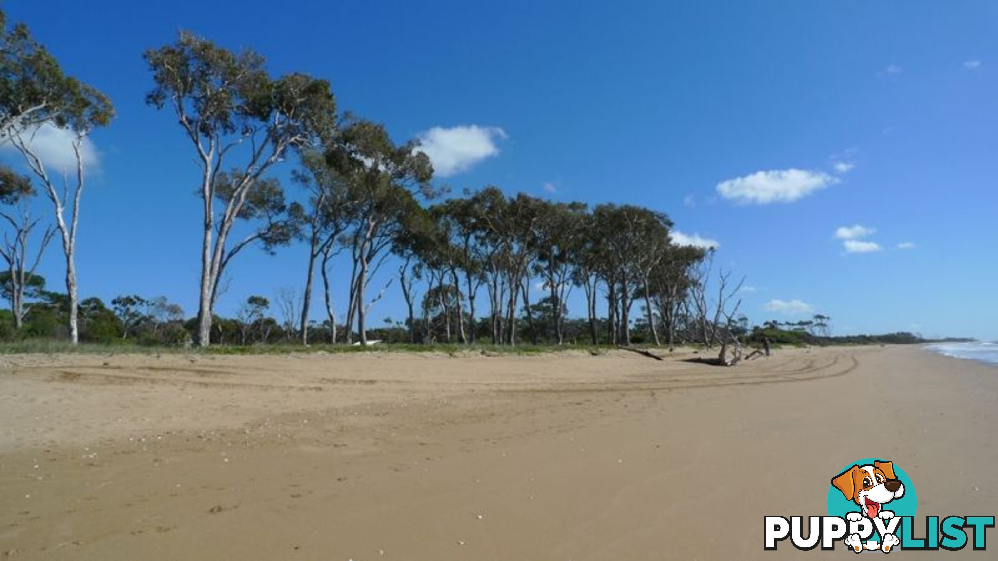 66 Isaac Moore Drive Moore Park Beach QLD 4670