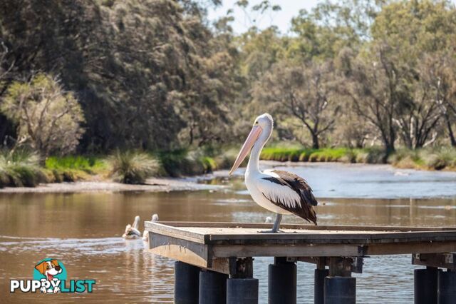 117 River View Avenue South Guildford WA 6055