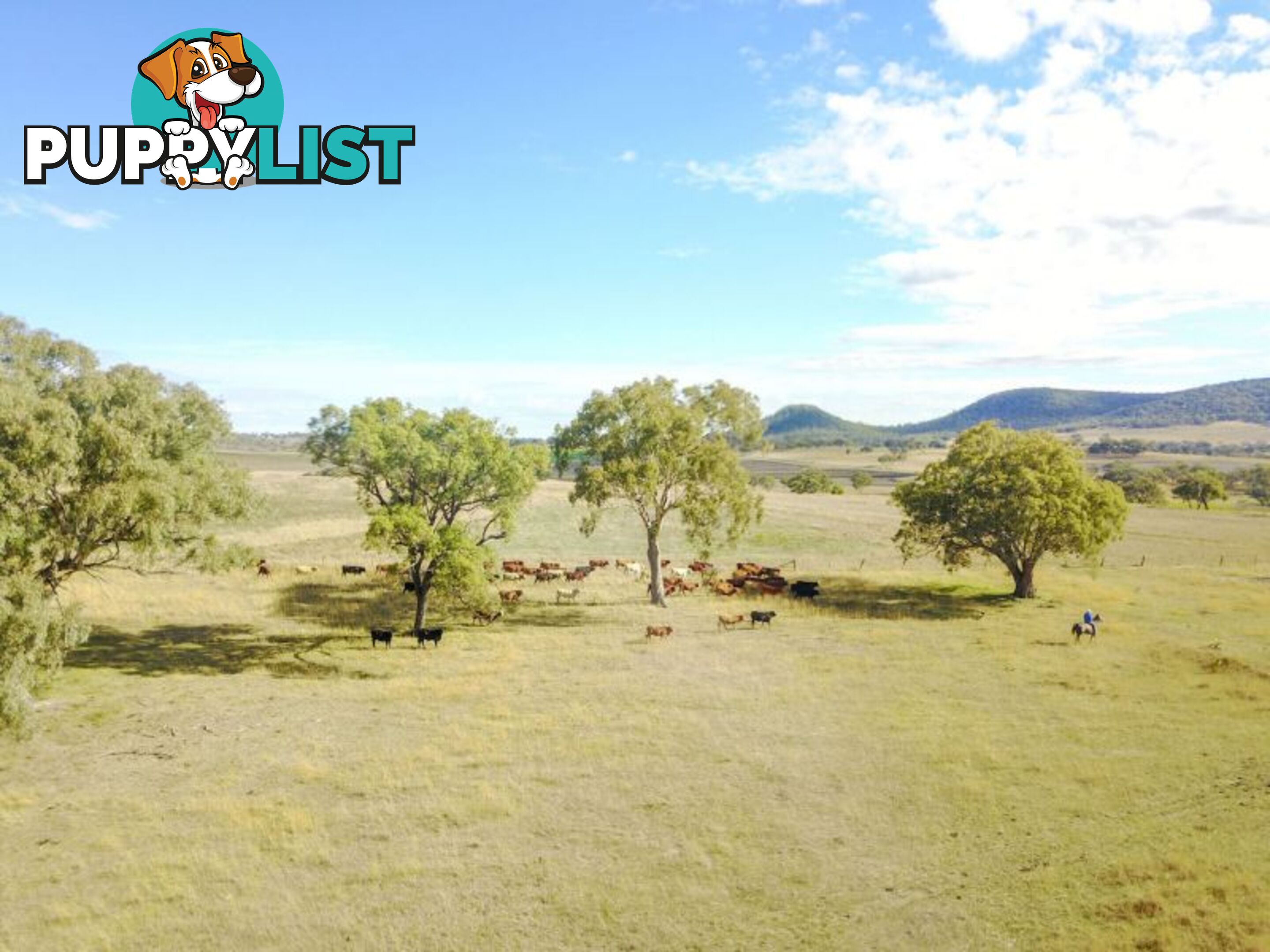 Upper Pilton QLD 4361