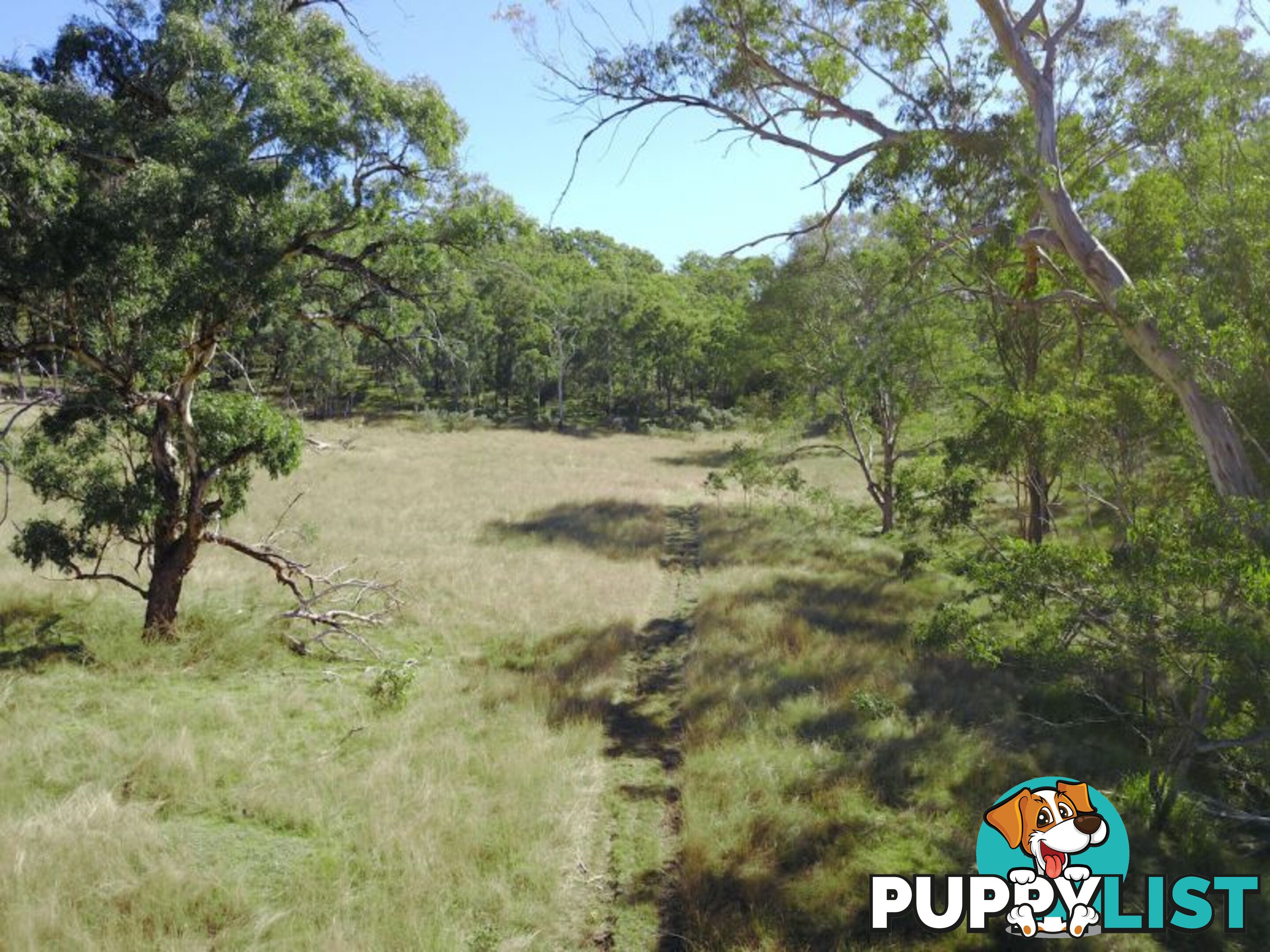 Upper Pilton QLD 4361