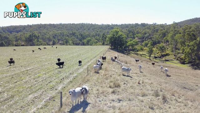 Upper Pilton QLD 4361