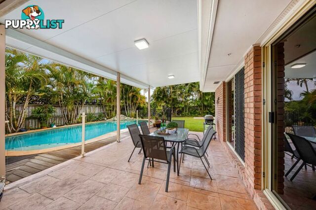 16 Boccaccio Court Mountain Creek QLD 4557