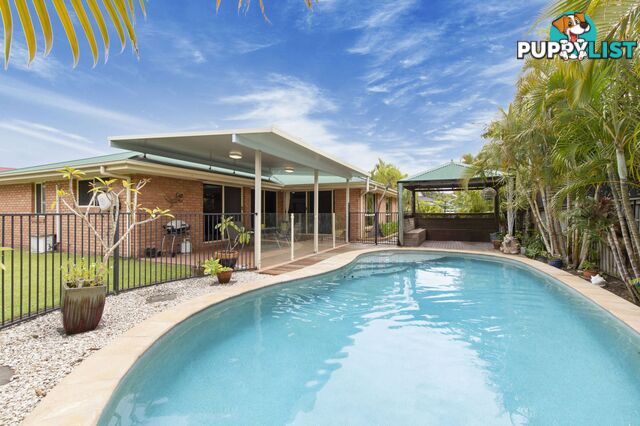 16 Boccaccio Court Mountain Creek QLD 4557