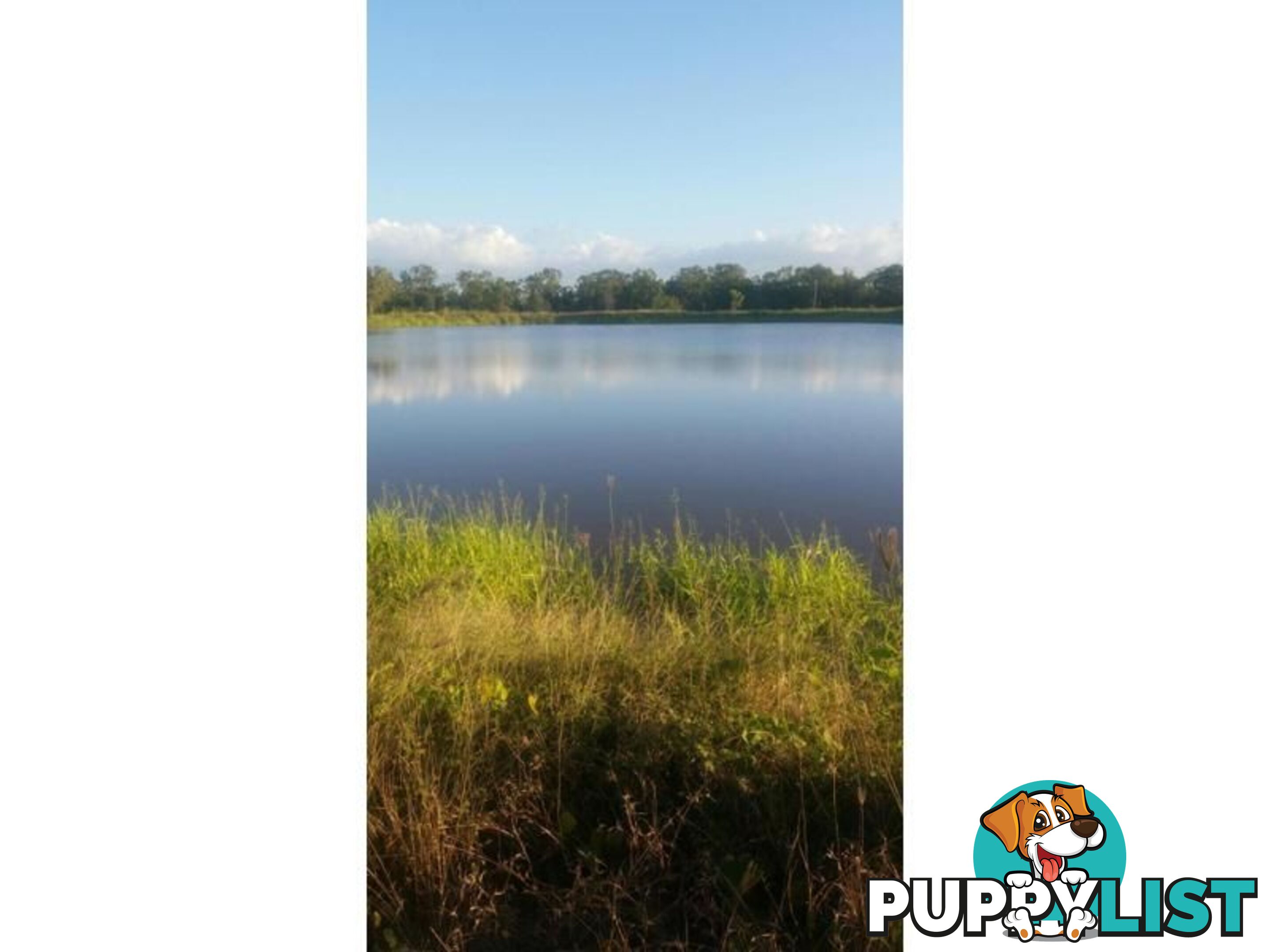 Lot 14 Bruce Highway GUMLU QLD 4805