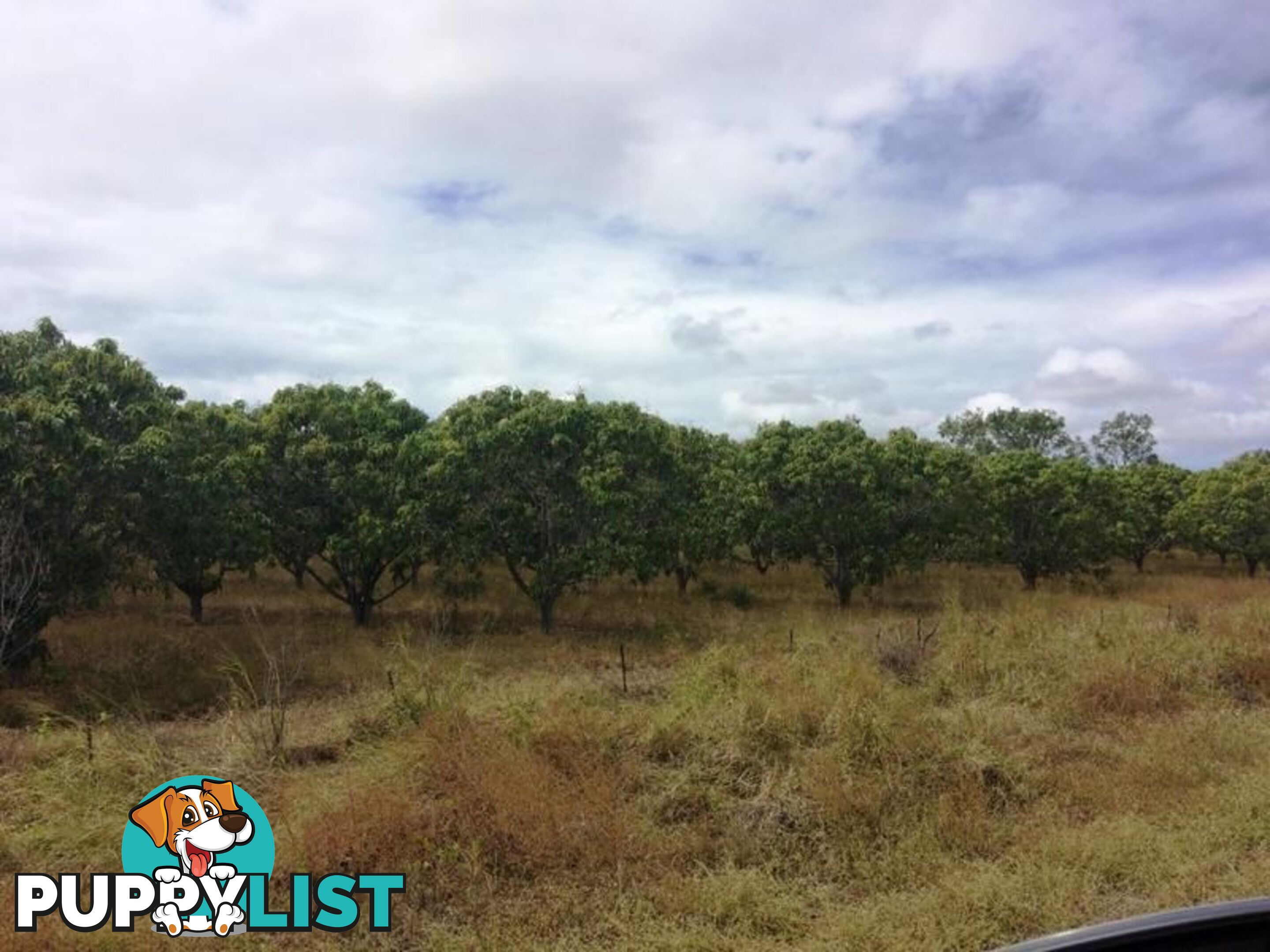 Lot 14 Bruce Highway GUMLU QLD 4805