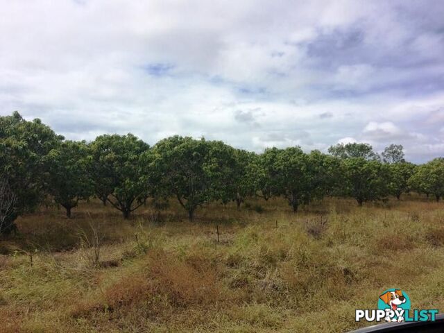 Lot 14 Bruce Highway GUMLU QLD 4805