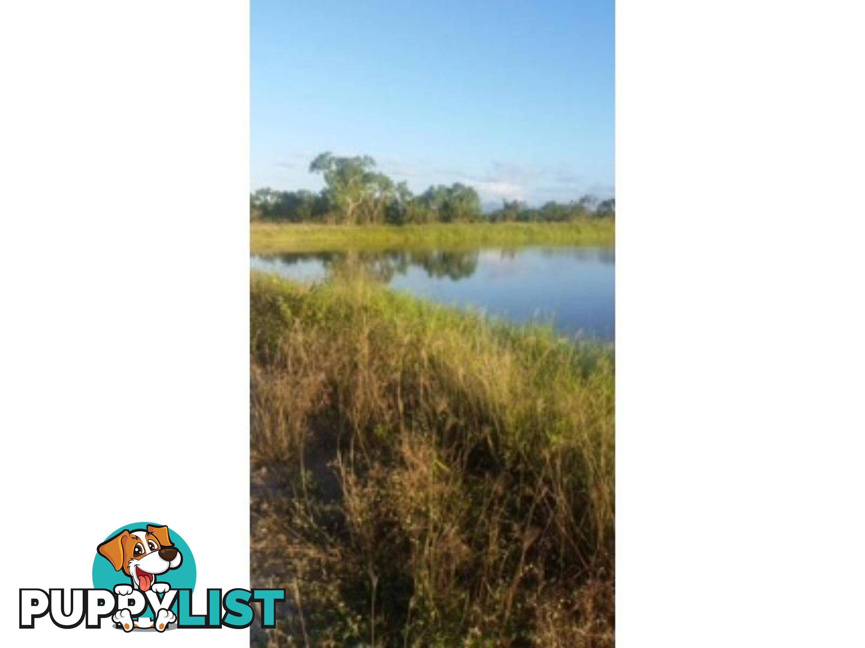 Lot 14 Bruce Highway GUMLU QLD 4805