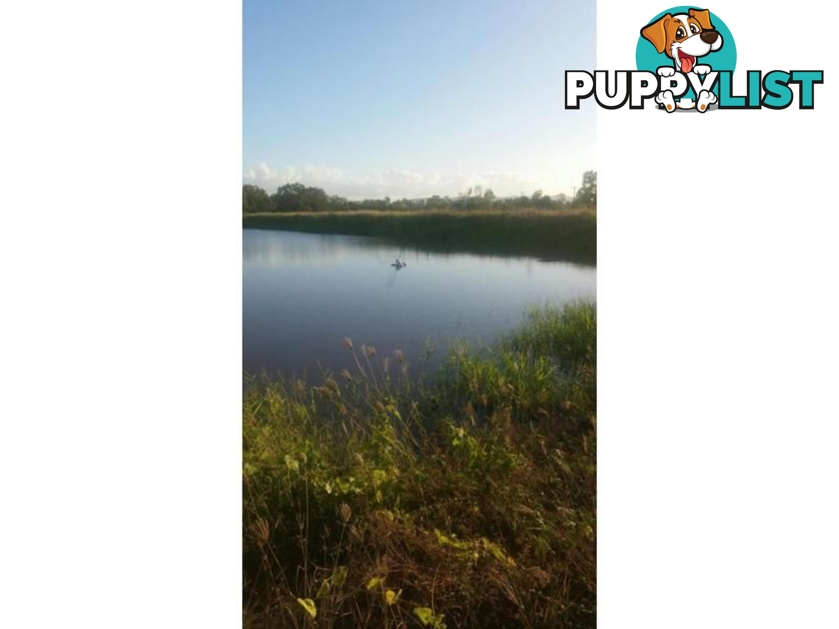 Lot 14 Bruce Highway GUMLU QLD 4805