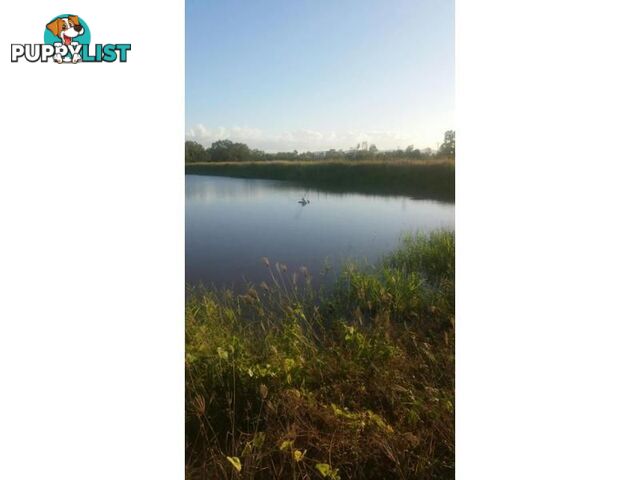 Lot 14 Bruce Highway GUMLU QLD 4805