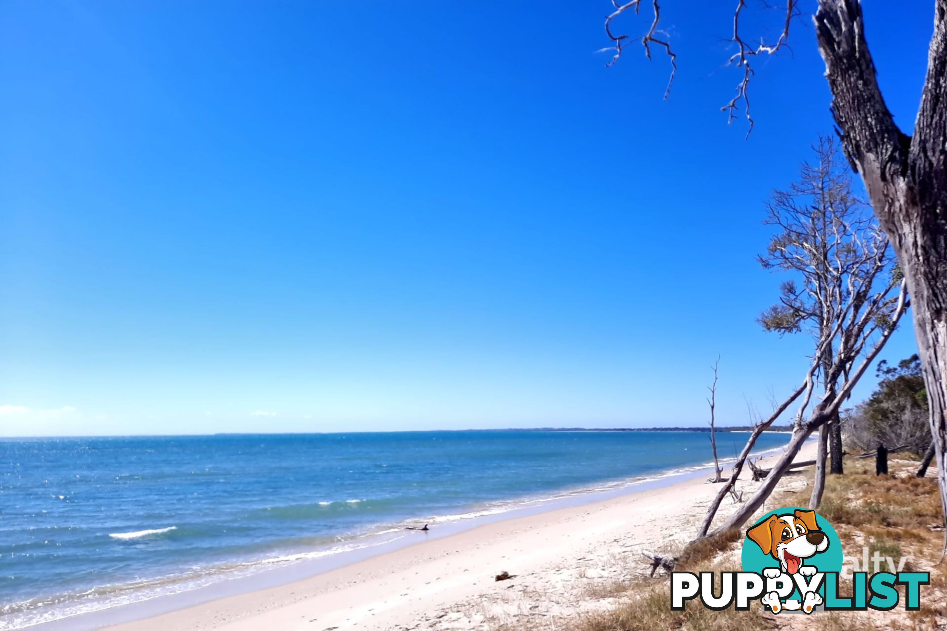 64 Beach Drive Burrum Heads QLD 4659