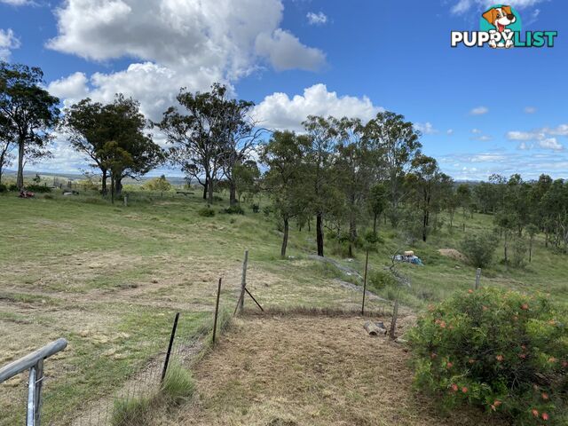 Cullendore NSW 2372