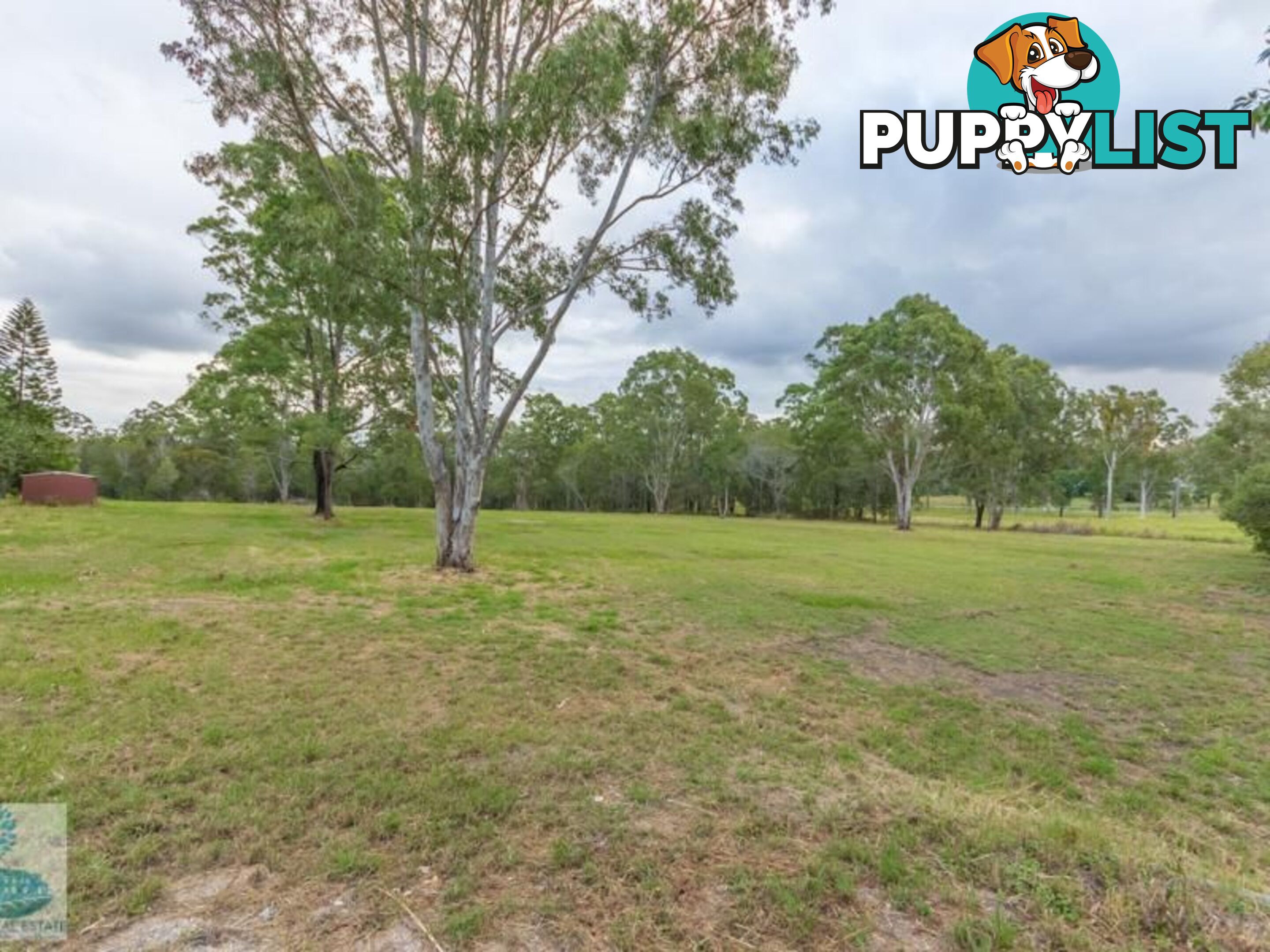 20 Mumford Road KURWONGBAH QLD 4503