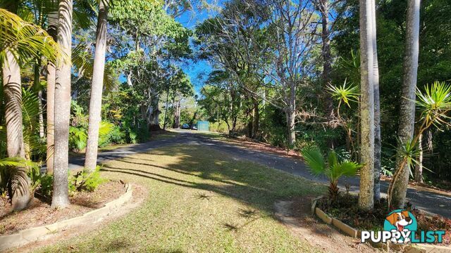 240 Rowlands Creek Road Uki NSW 2484