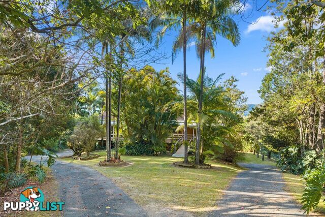 240 Rowlands Creek Road Uki NSW 2484