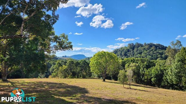 240 Rowlands Creek Road Uki NSW 2484