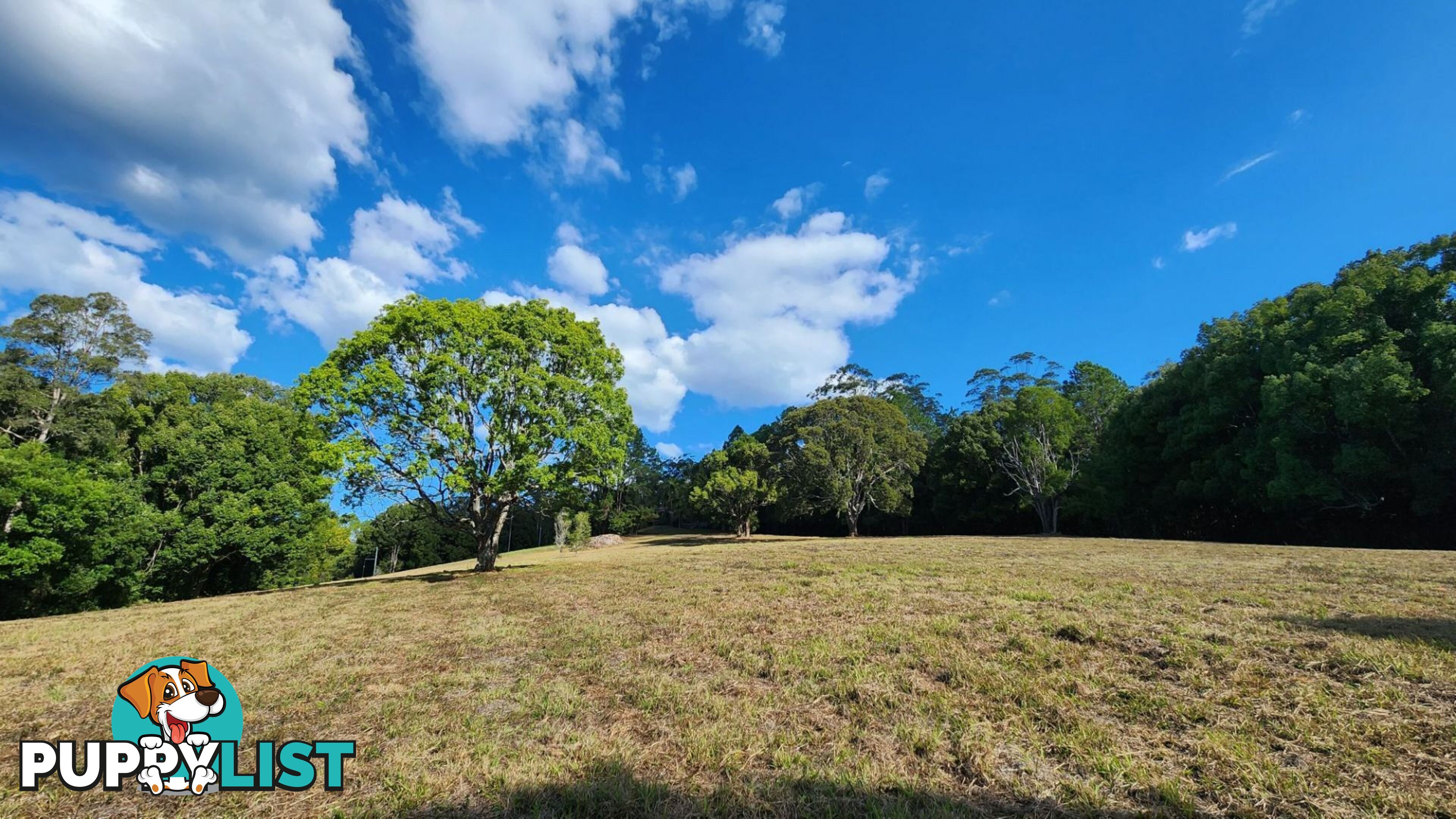 240 Rowlands Creek Road Uki NSW 2484