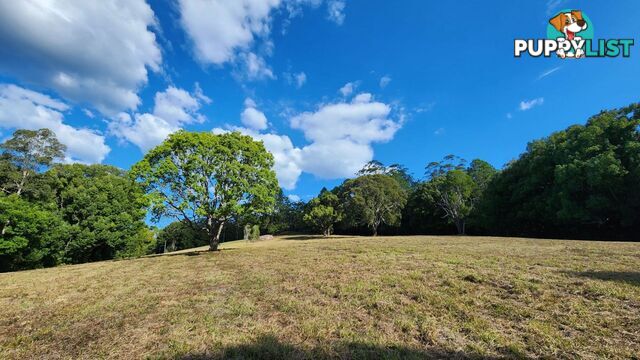 240 Rowlands Creek Road Uki NSW 2484