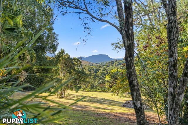 240 Rowlands Creek Road Uki NSW 2484