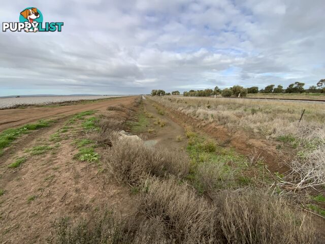 Part Farm 1082, 1386 Murrami Road Leeton NSW 2705