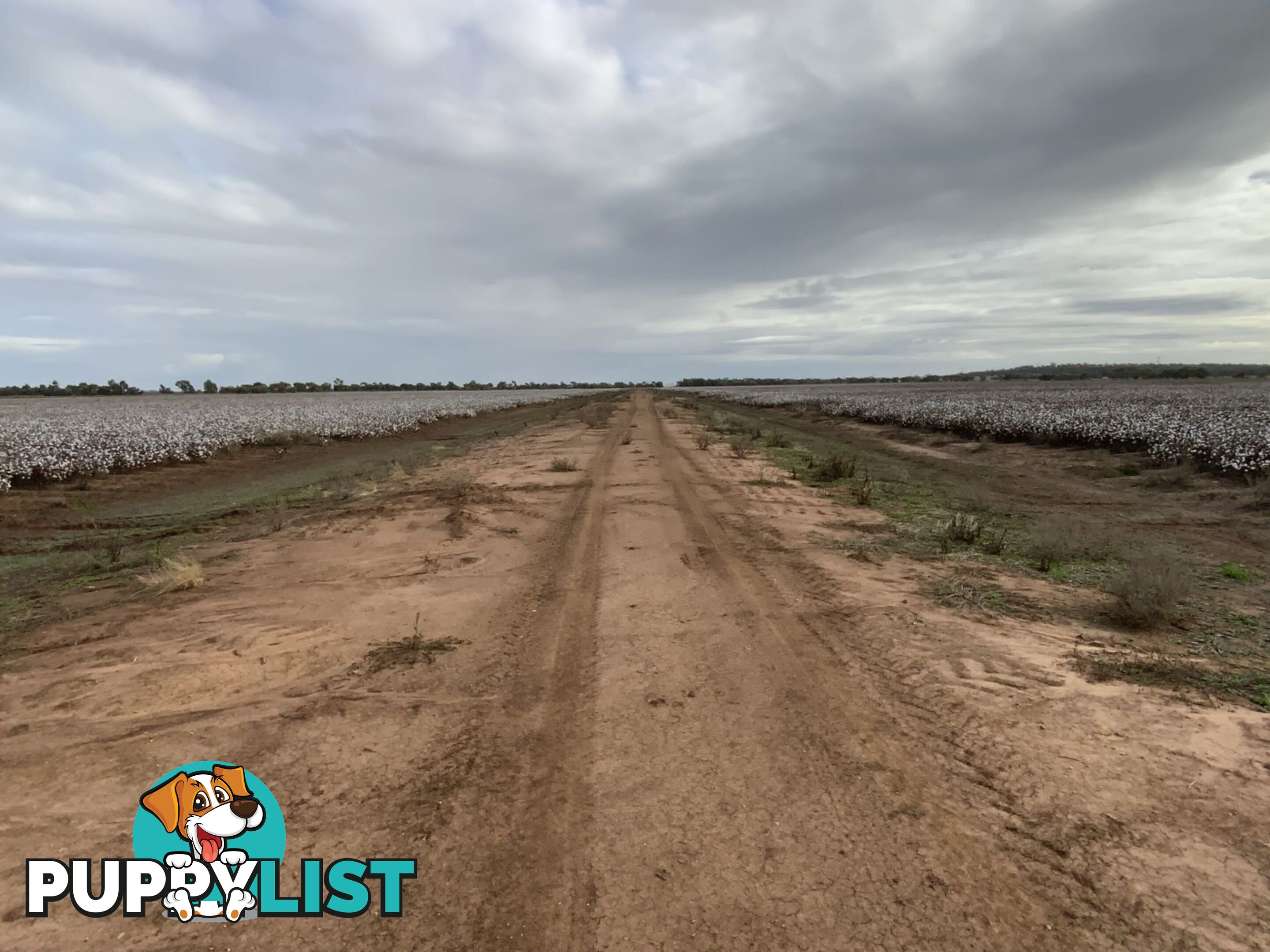 Part Farm 1082, 1386 Murrami Road Leeton NSW 2705