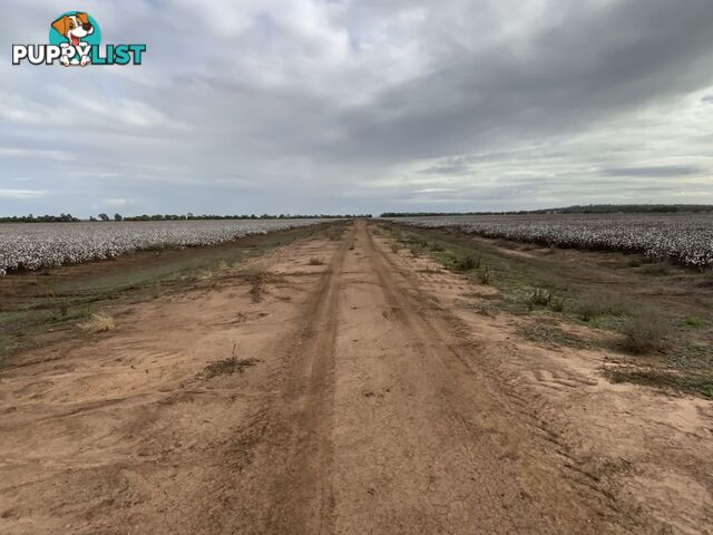 Part Farm 1082, 1386 Murrami Road Leeton NSW 2705