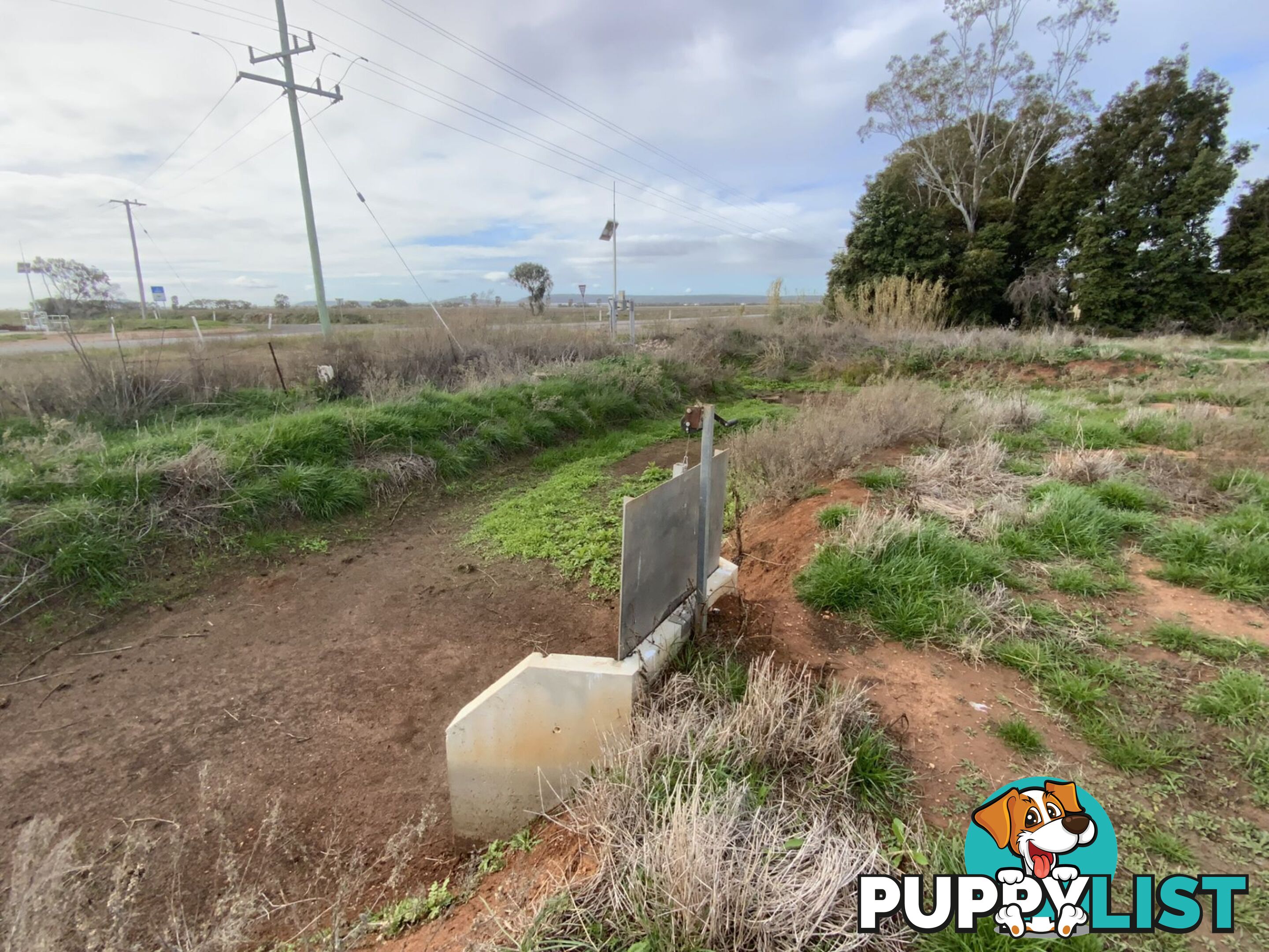 Part Farm 1082, 1386 Murrami Road Leeton NSW 2705