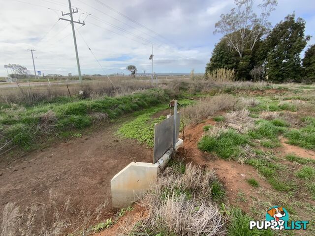 Part Farm 1082, 1386 Murrami Road Leeton NSW 2705