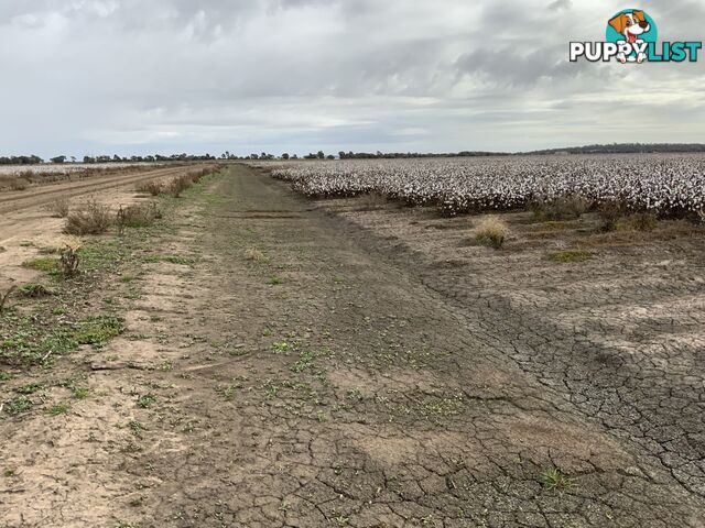 Part Farm 1082, 1386 Murrami Road Leeton NSW 2705