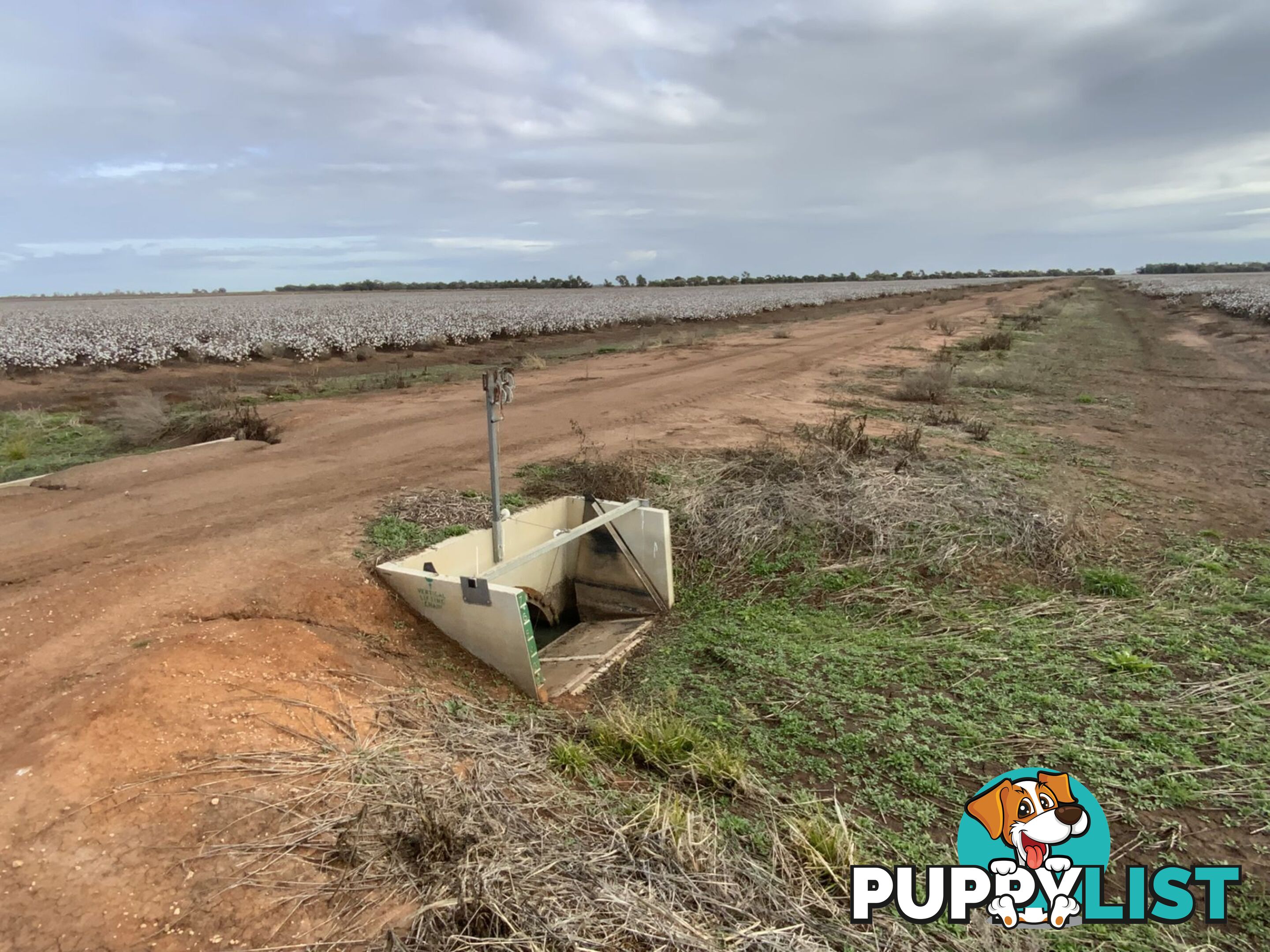 Part Farm 1082, 1386 Murrami Road Leeton NSW 2705