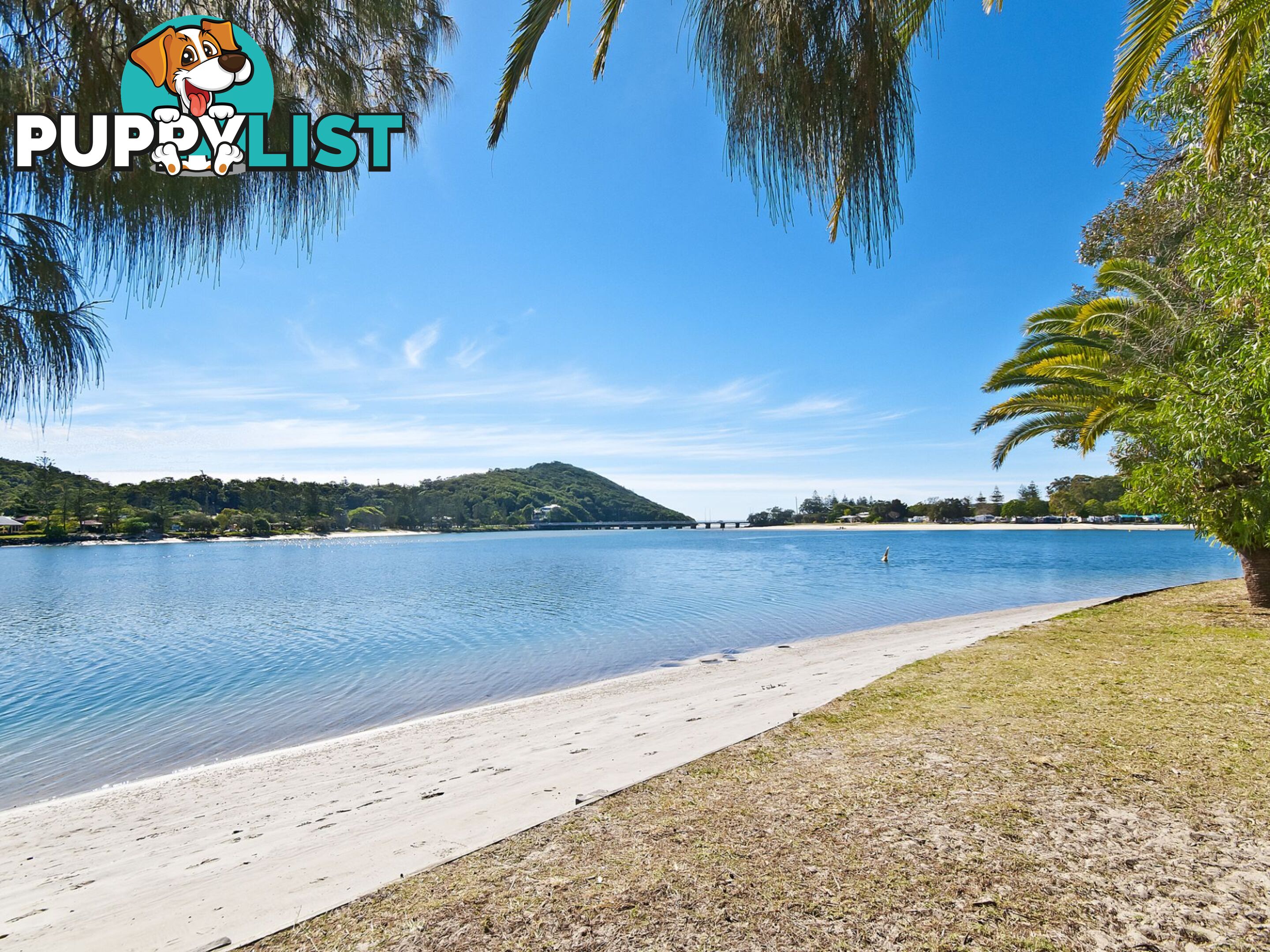 9 Fifteenth Avenue Palm Beach QLD 4221