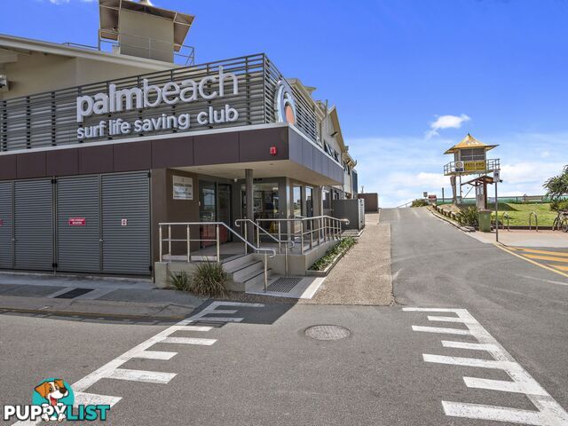 9 Fifteenth Avenue Palm Beach QLD 4221
