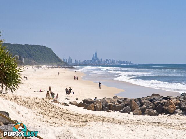 9 Fifteenth Avenue Palm Beach QLD 4221