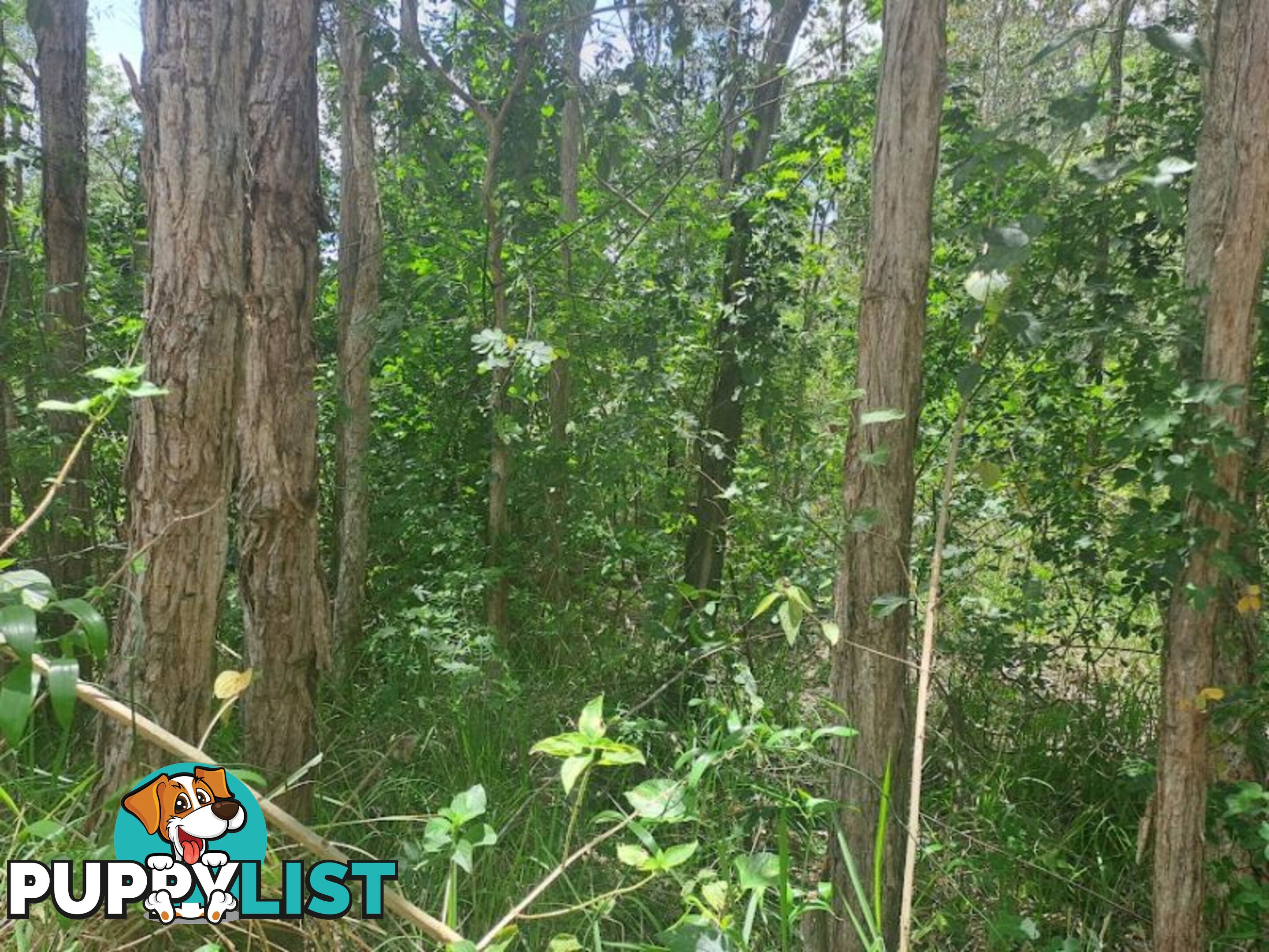 Lot 727 Arbortwenty Eight Road Glenwood QLD 4570