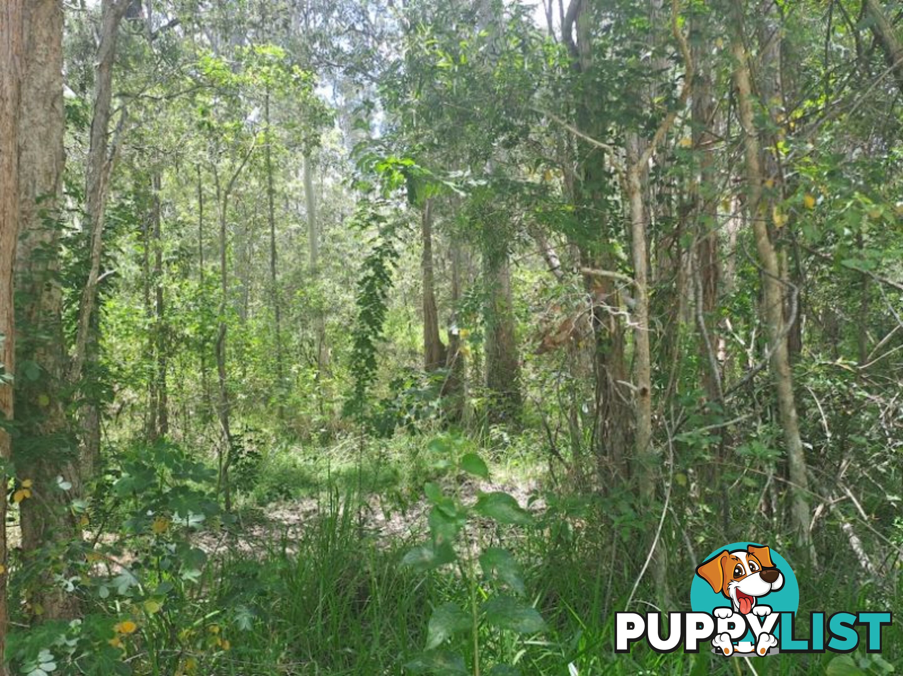 Lot 727 Arbortwenty Eight Road Glenwood QLD 4570