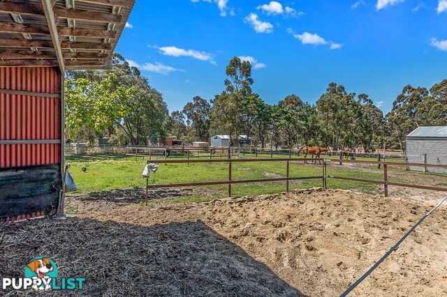 98 Karri Street Karnup WA 6176