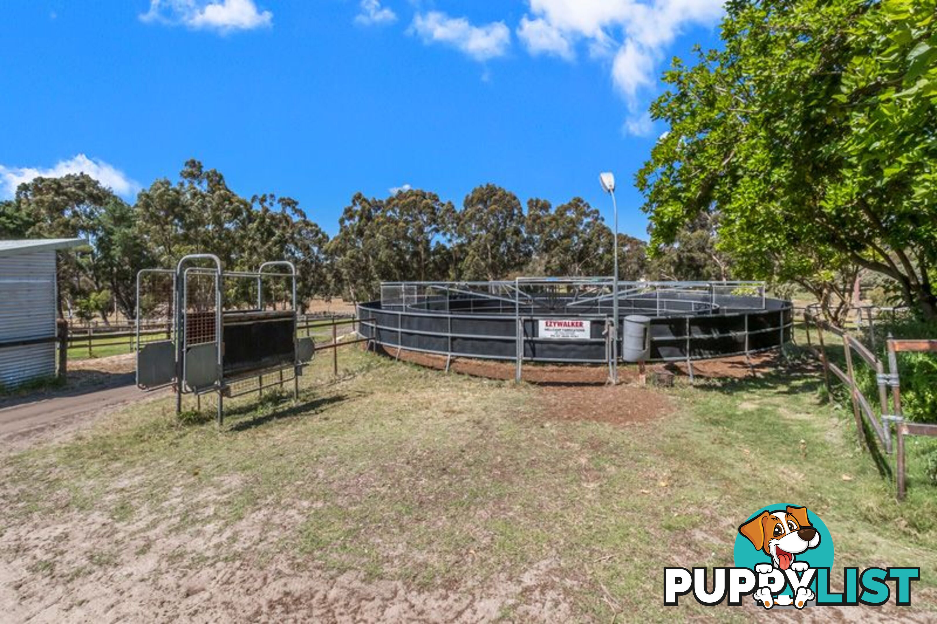 98 Karri Street Karnup WA 6176