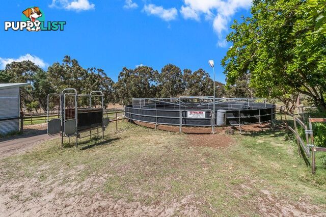 98 Karri Street Karnup WA 6176