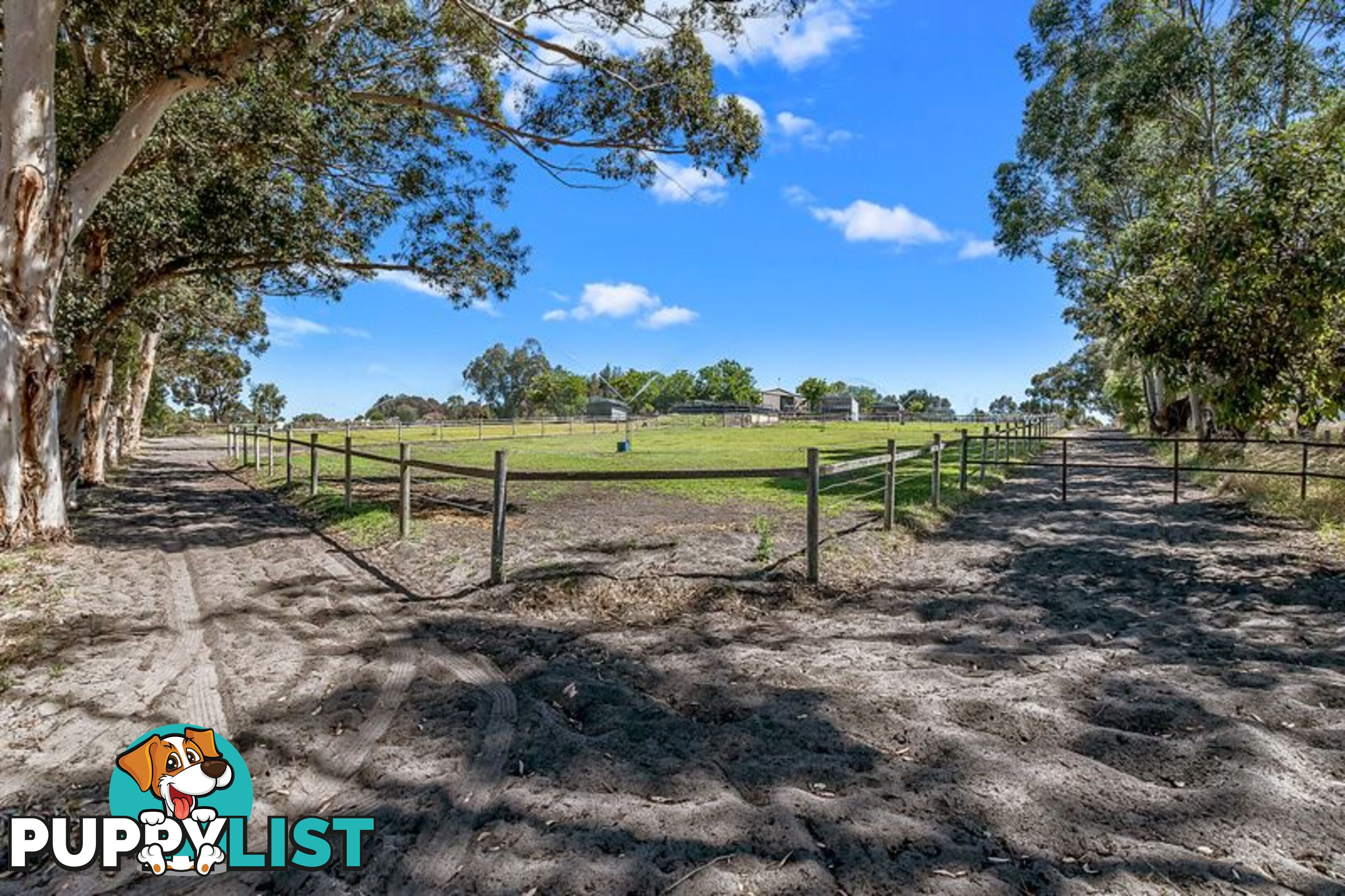 98 Karri Street Karnup WA 6176