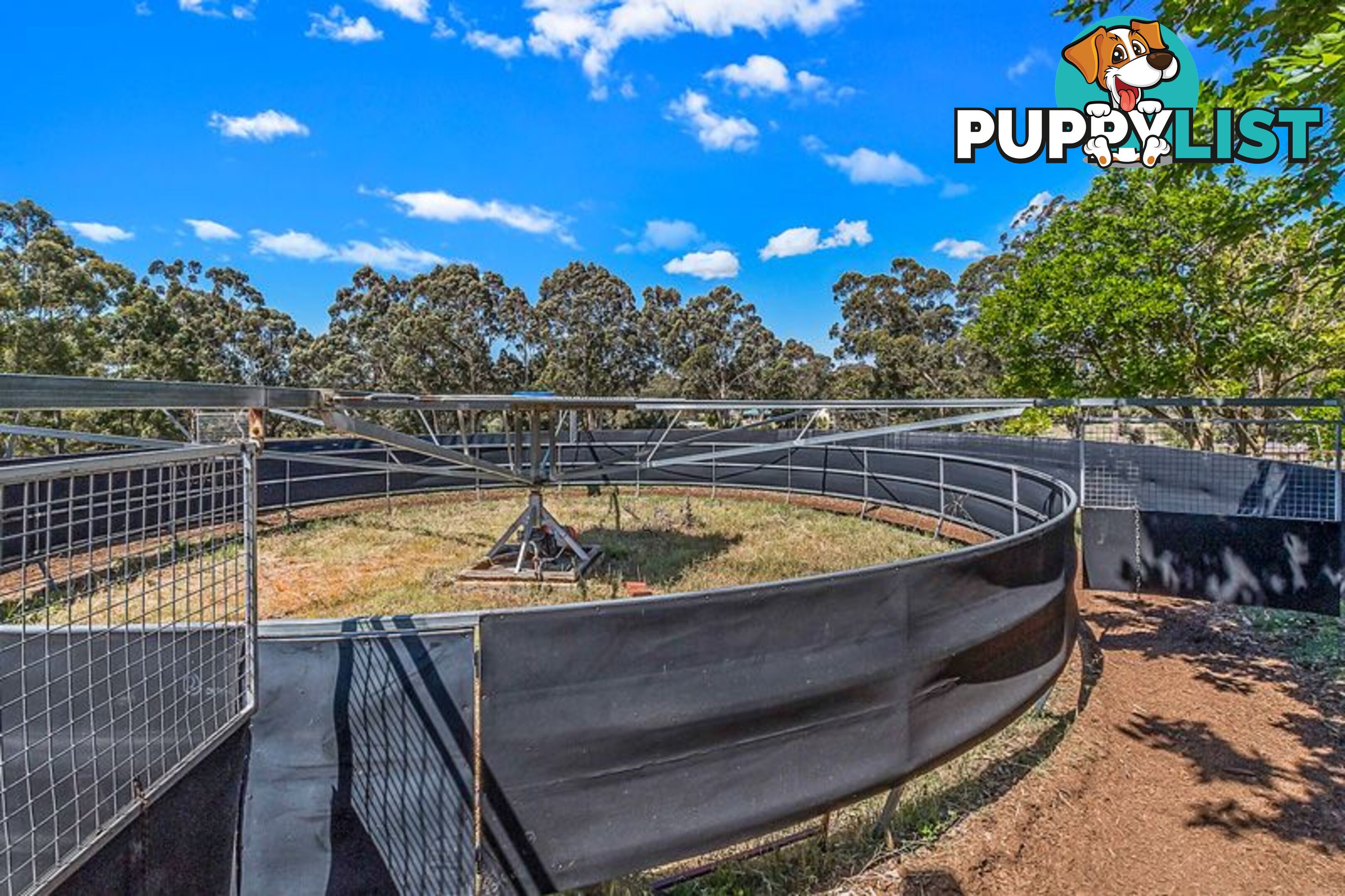 98 Karri Street Karnup WA 6176