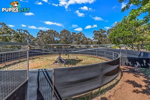 98 Karri Street Karnup WA 6176