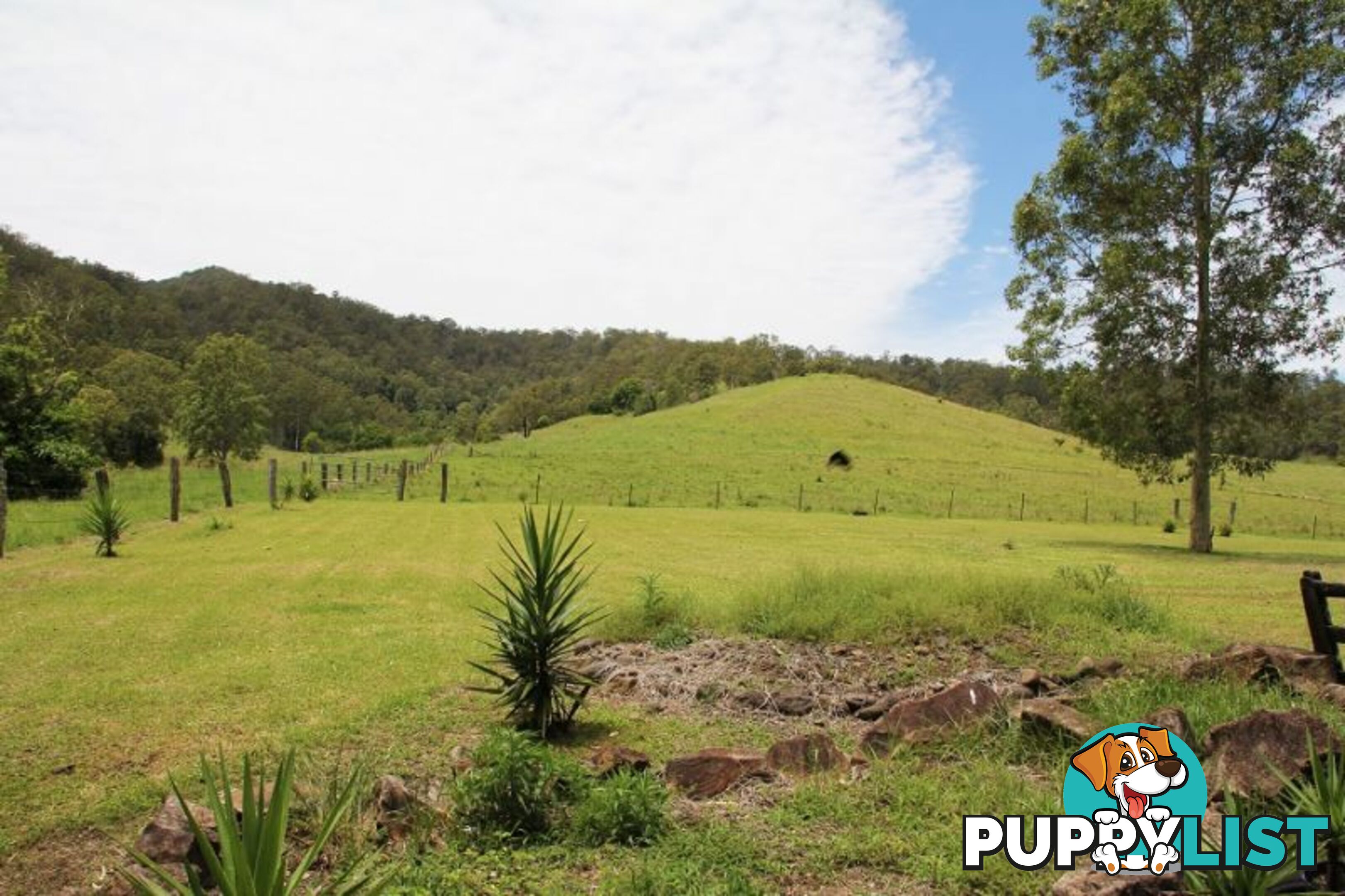 18 Gonpa Road Collins Creek NSW 2474