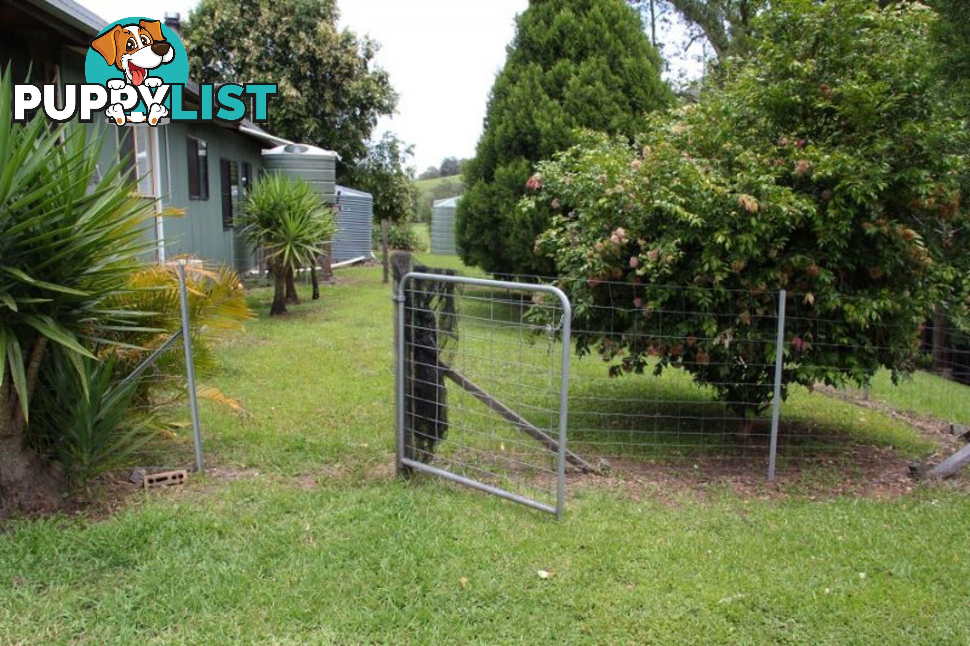 18 Gonpa Road Collins Creek NSW 2474