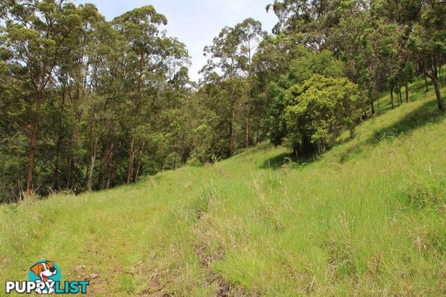 18 Gonpa Road Collins Creek NSW 2474