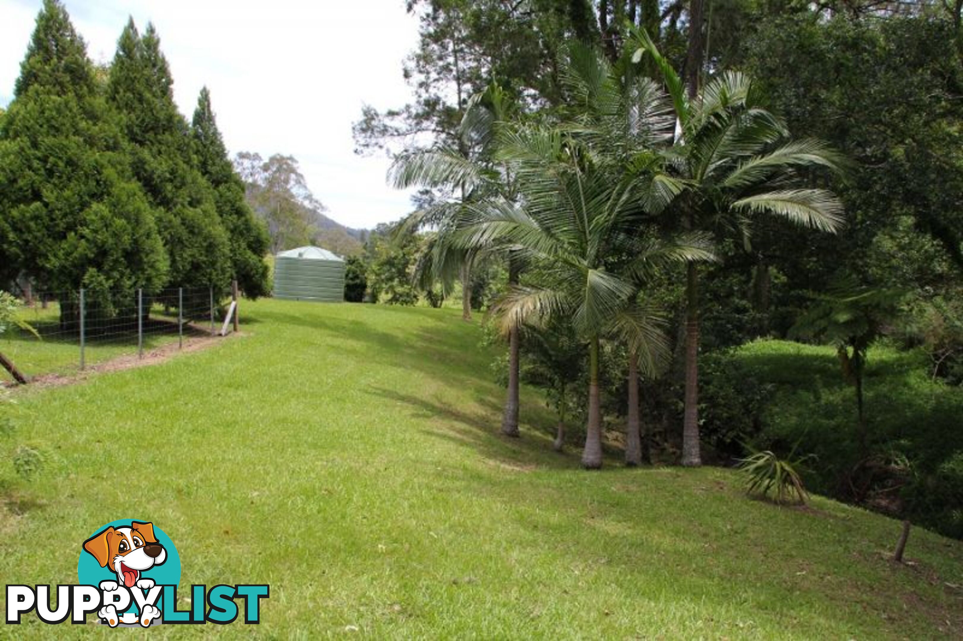 18 Gonpa Road Collins Creek NSW 2474